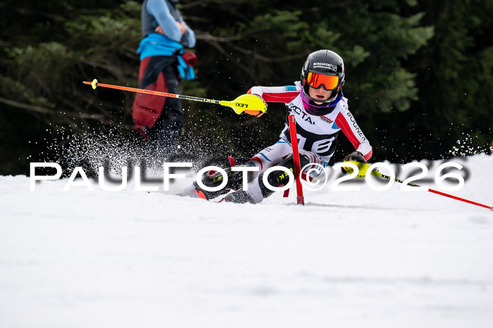 DSV - Actanol Deutscher Schülercup U12 Finale SLX 2026