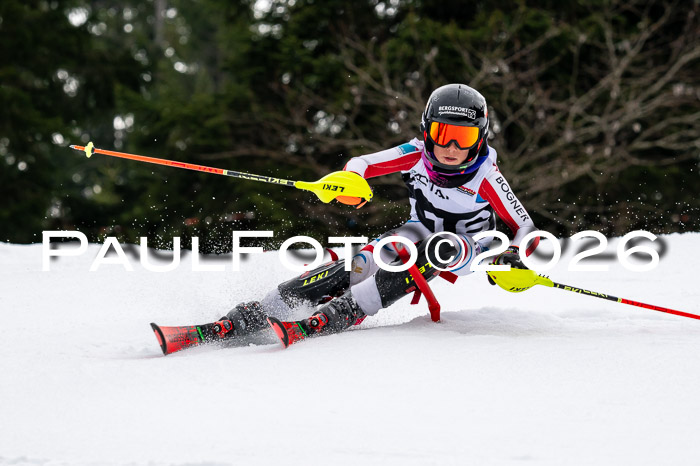 DSV - Actanol Deutscher Schülercup U12 Finale SLX 2026