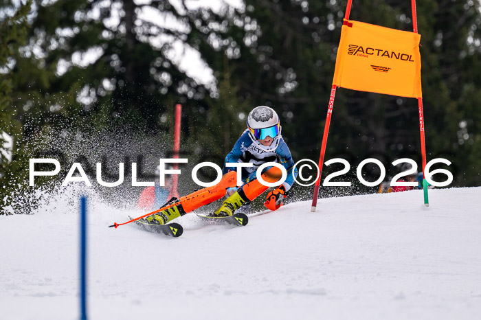 DSV - Actanol Deutscher Schülercup U12 Finale SLX 2026