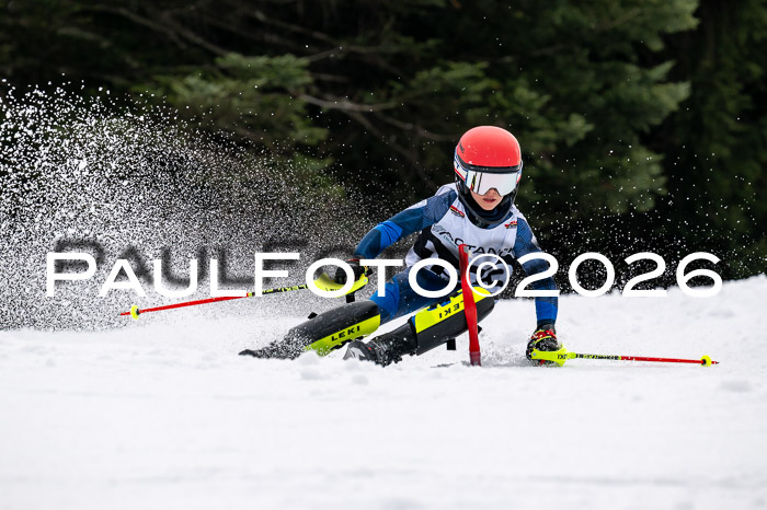 DSV - Actanol Deutscher Schülercup U12 Finale SLX 2026