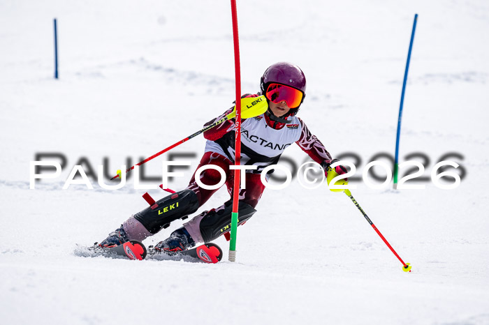 DSV - Actanol Deutscher Schülercup U12 Finale SLX 2026