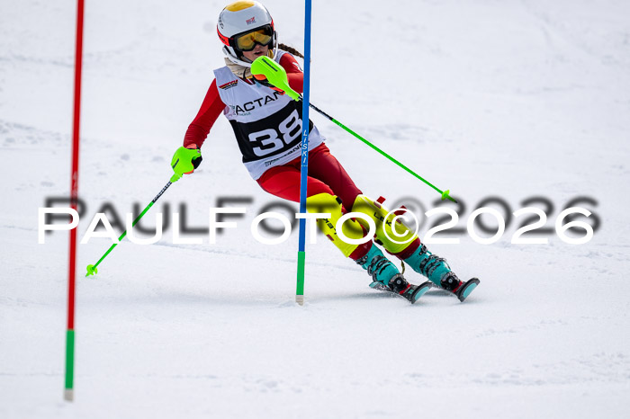 DSV - Actanol Deutscher Schülercup U12 Finale SLX 2026