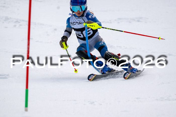DSV - Actanol Deutscher Schülercup U12 Finale SLX 2026
