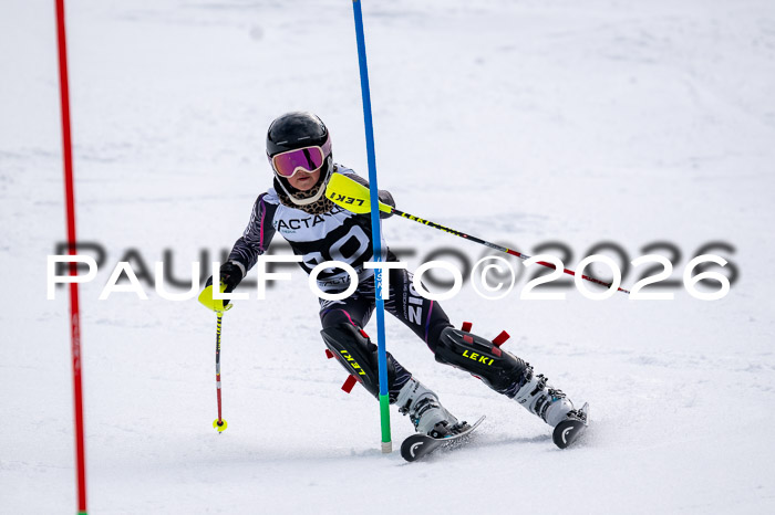 DSV - Actanol Deutscher Schülercup U12 Finale SLX 2026