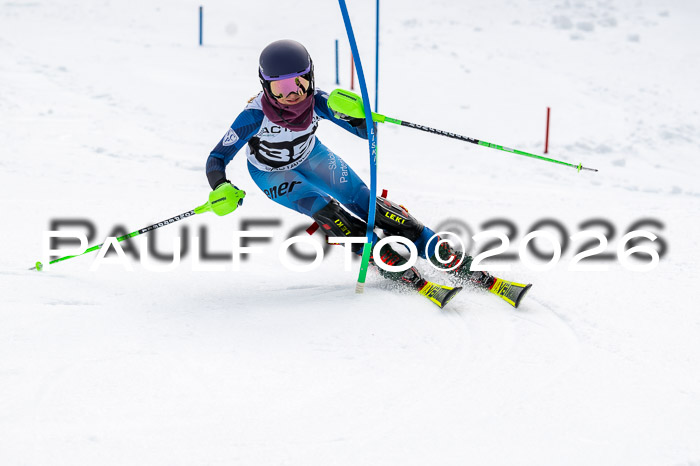 DSV - Actanol Deutscher Schülercup U12 Finale SLX 2026