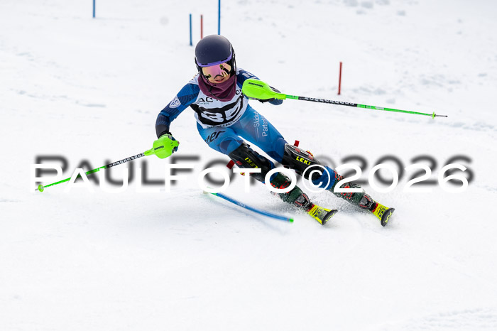 DSV - Actanol Deutscher Schülercup U12 Finale SLX 2026