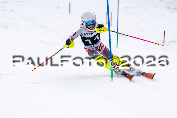 DSV - Actanol Deutscher Schülercup U12 Finale SLX 2026