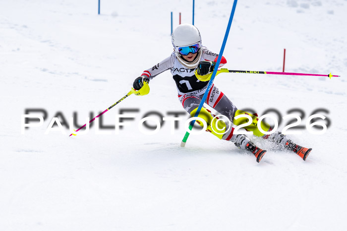 DSV - Actanol Deutscher Schülercup U12 Finale SLX 2026