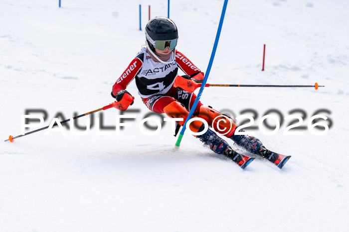DSV - Actanol Deutscher Schülercup U12 Finale SLX 2026