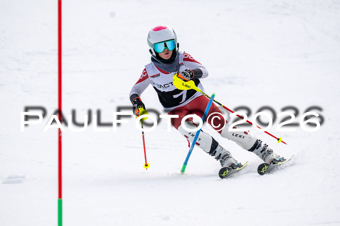 DSV - Actanol Deutscher Schülercup U12 Finale SLX 2026