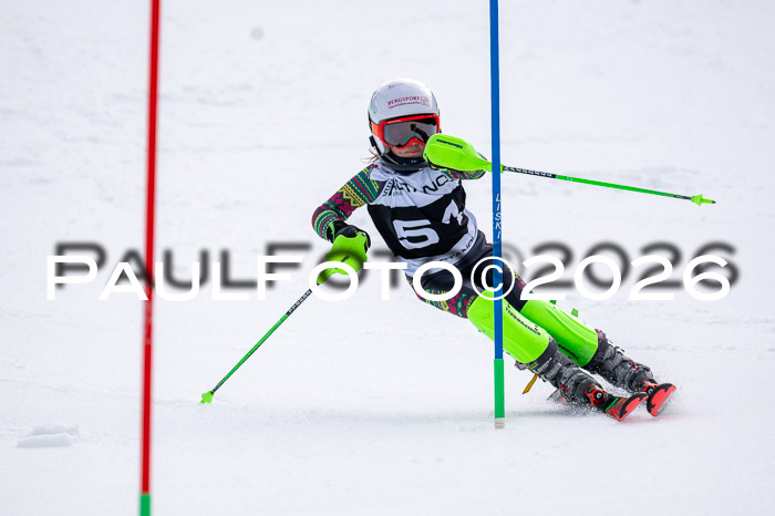 DSV - Actanol Deutscher Schülercup U12 Finale SLX 2026