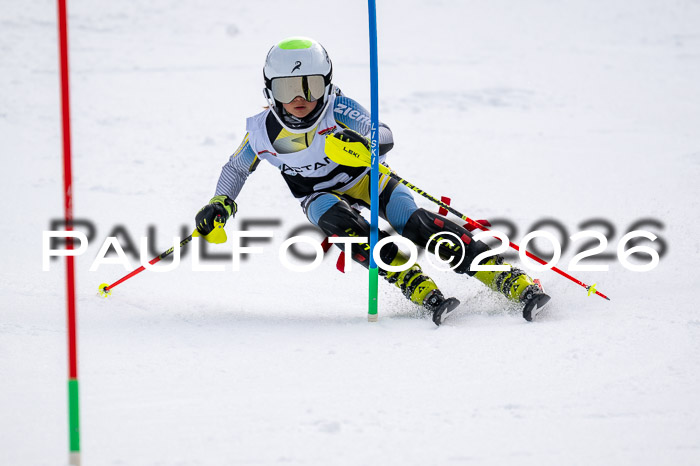 DSV - Actanol Deutscher Schülercup U12 Finale SLX 2026