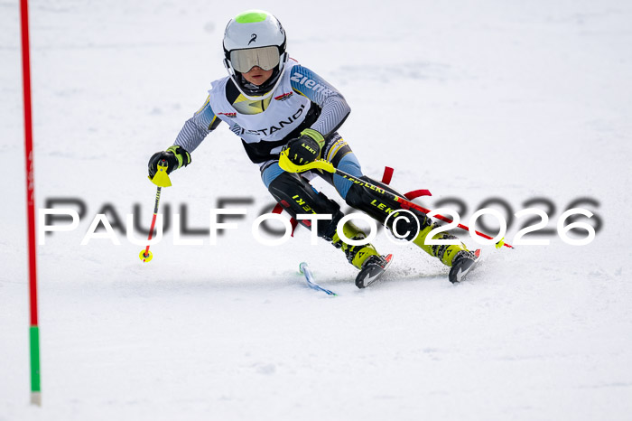 DSV - Actanol Deutscher Schülercup U12 Finale SLX 2026