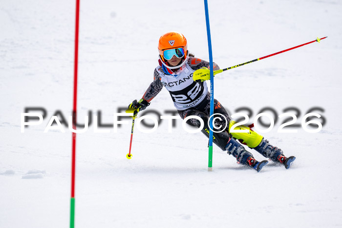 DSV - Actanol Deutscher Schülercup U12 Finale SLX 2026