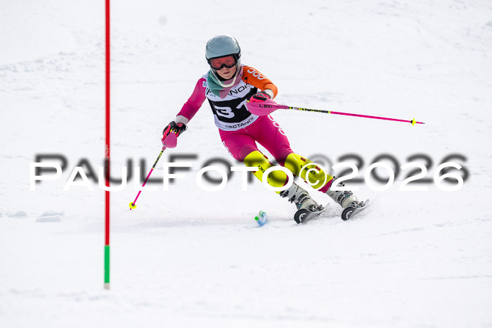 DSV - Actanol Deutscher Schülercup U12 Finale SLX 2026