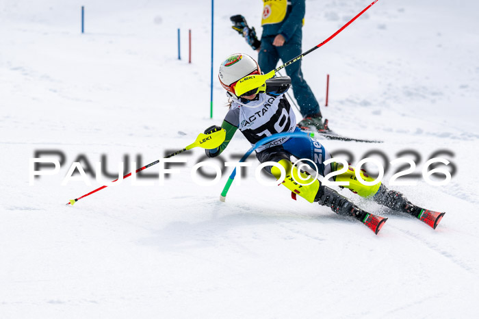 DSV - Actanol Deutscher Schülercup U12 Finale SLX 2026