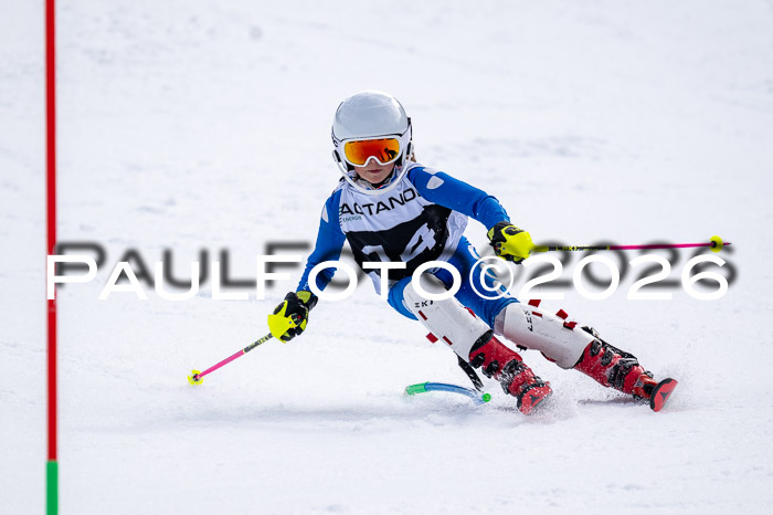 DSV - Actanol Deutscher Schülercup U12 Finale SLX 2026