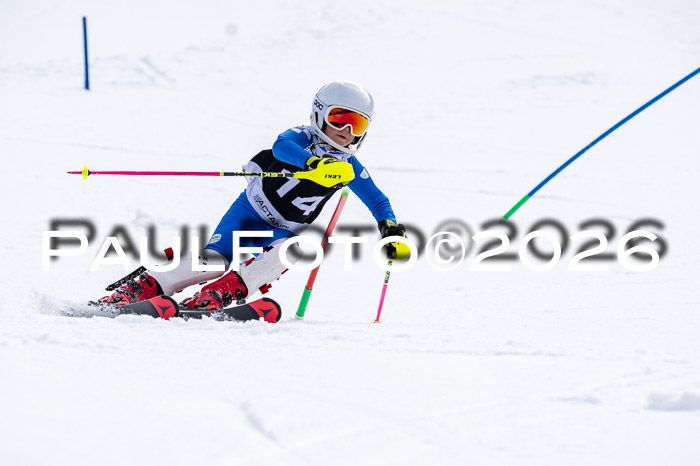 DSV - Actanol Deutscher Schülercup U12 Finale SLX 2026