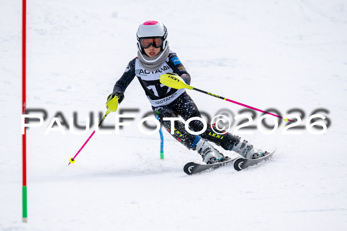 DSV - Actanol Deutscher Schülercup U12 Finale SLX 2026