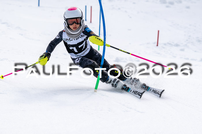 DSV - Actanol Deutscher Schülercup U12 Finale SLX 2026