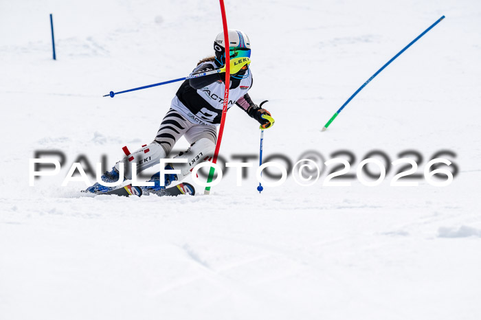 DSV - Actanol Deutscher Schülercup U12 Finale SLX 2026