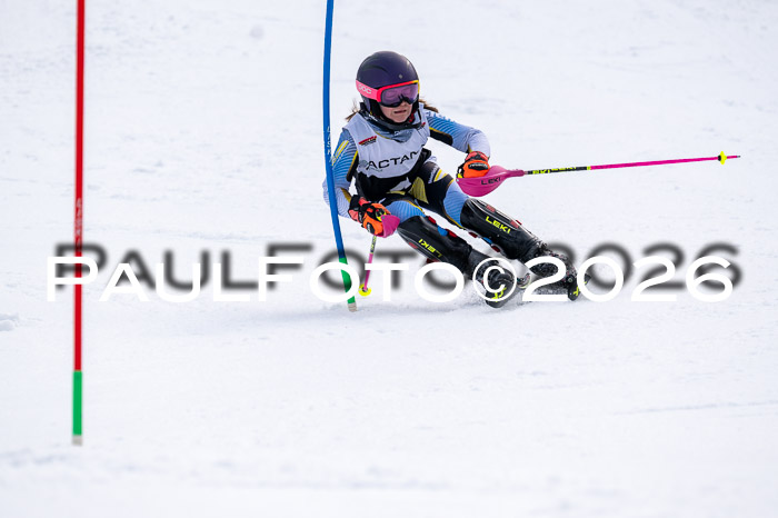 DSV - Actanol Deutscher Schülercup U12 Finale SLX 2026
