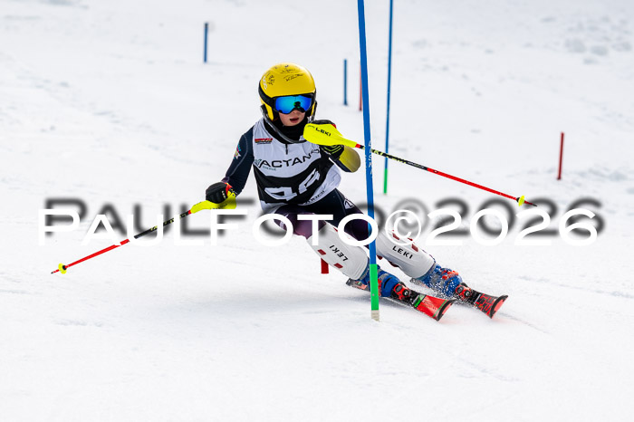 DSV - Actanol Deutscher Schülercup U12 Finale SLX 2026