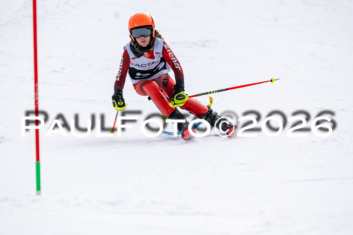 DSV - Actanol Deutscher Schülercup U12 Finale SLX 2026