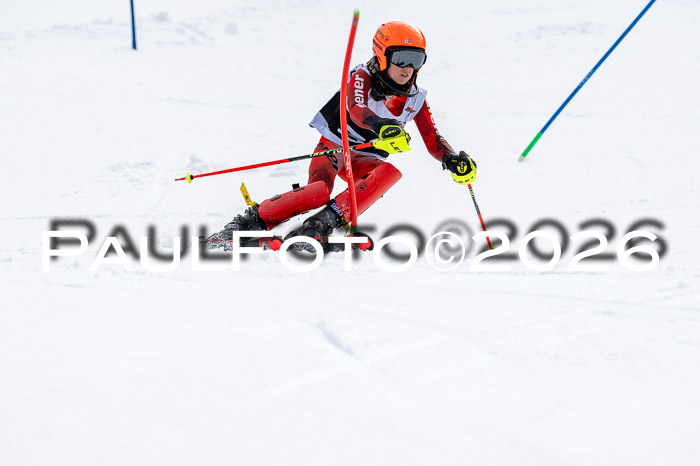DSV - Actanol Deutscher Schülercup U12 Finale SLX 2026