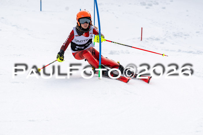 DSV - Actanol Deutscher Schülercup U12 Finale SLX 2026
