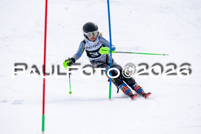 DSV - Actanol Deutscher Schülercup U12 Finale SLX 2026