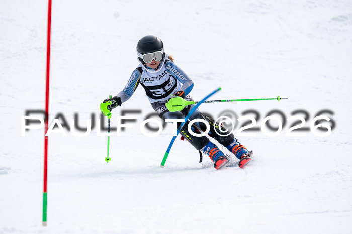 DSV - Actanol Deutscher Schülercup U12 Finale SLX 2026
