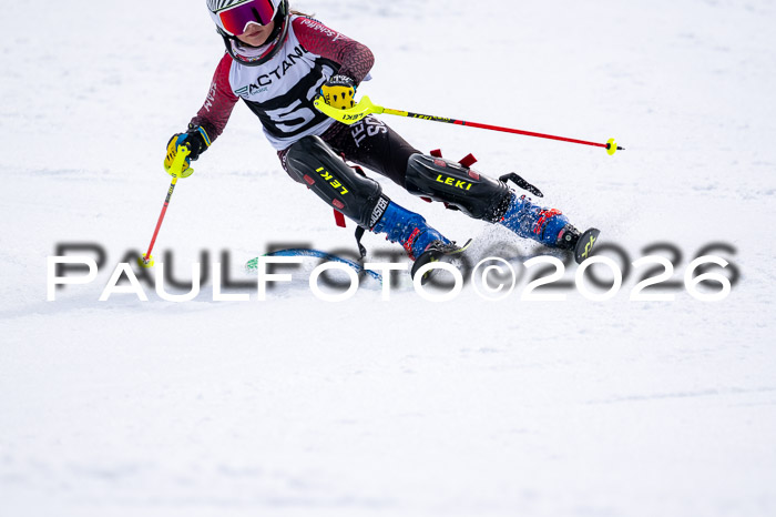 DSV - Actanol Deutscher Schülercup U12 Finale SLX 2026