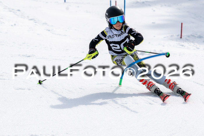 DSV - Actanol Deutscher Schülercup U12 Finale SLX 2026