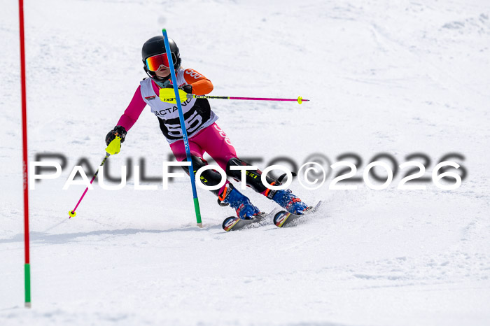 DSV - Actanol Deutscher Schülercup U12 Finale SLX 2026