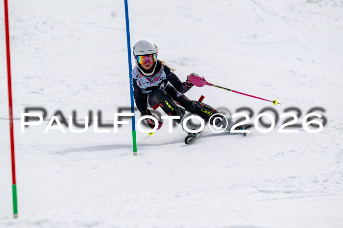 DSV - Actanol Deutscher Schülercup U12 Finale SLX 2026