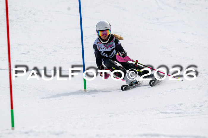 DSV - Actanol Deutscher Schülercup U12 Finale SLX 2026