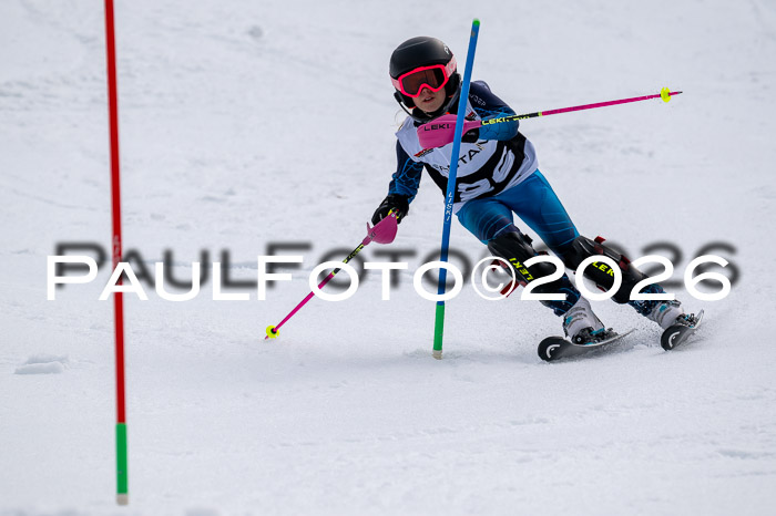 DSV - Actanol Deutscher Schülercup U12 Finale SLX 2026