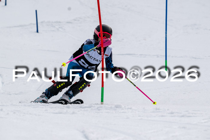 DSV - Actanol Deutscher Schülercup U12 Finale SLX 2026