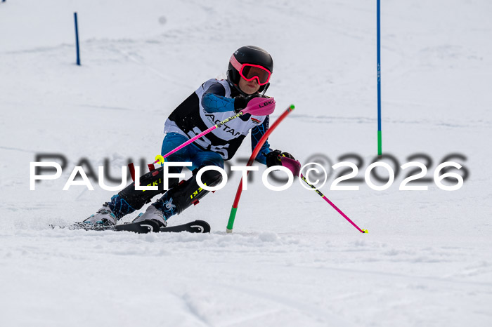 DSV - Actanol Deutscher Schülercup U12 Finale SLX 2026