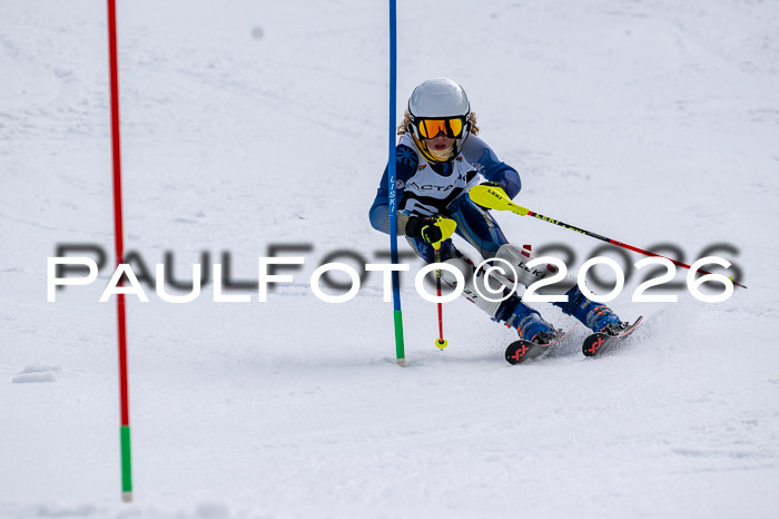 DSV - Actanol Deutscher Schülercup U12 Finale SLX 2026
