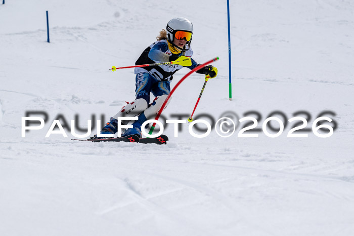 DSV - Actanol Deutscher Schülercup U12 Finale SLX 2026