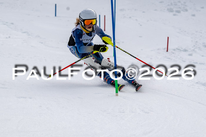 DSV - Actanol Deutscher Schülercup U12 Finale SLX 2026