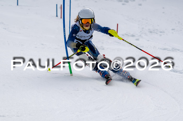 DSV - Actanol Deutscher Schülercup U12 Finale SLX 2026