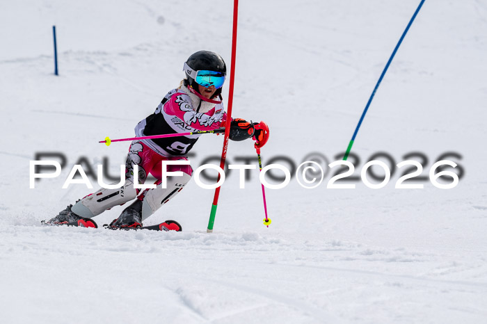 DSV - Actanol Deutscher Schülercup U12 Finale SLX 2026