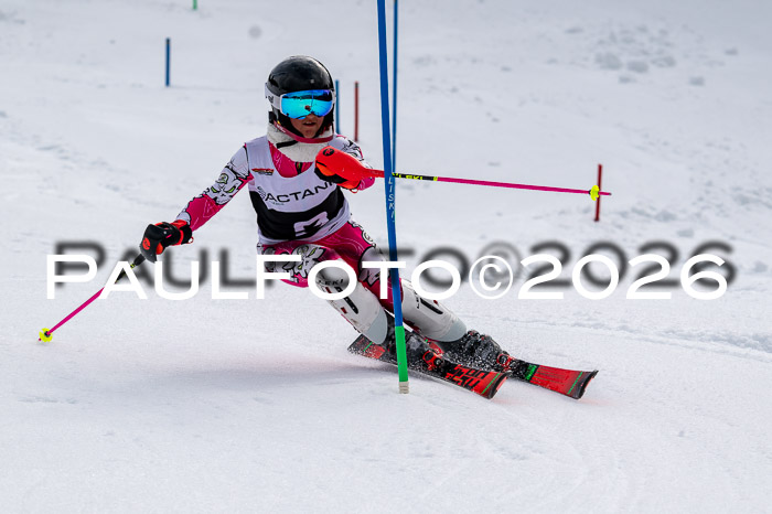 DSV - Actanol Deutscher Schülercup U12 Finale SLX 2026