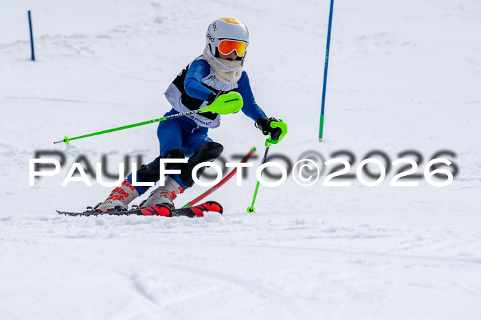 DSV - Actanol Deutscher Schülercup U12 Finale SLX 2026