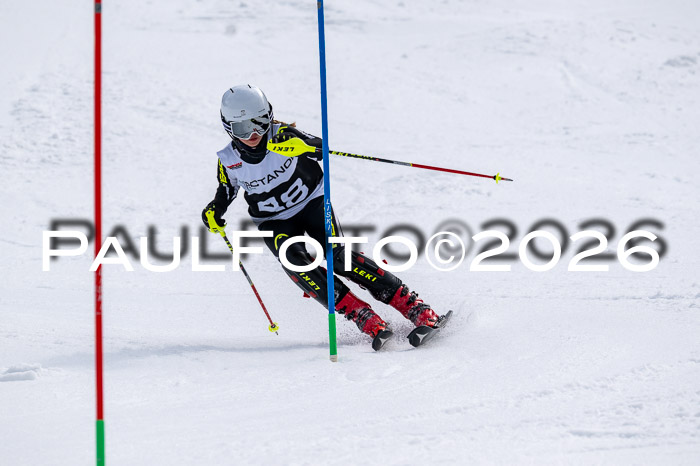 DSV - Actanol Deutscher Schülercup U12 Finale SLX 2026