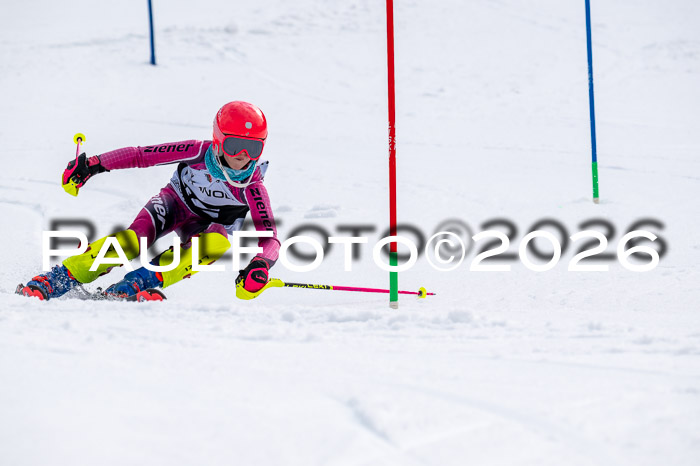 DSV - Actanol Deutscher Schülercup U12 Finale SLX 2026