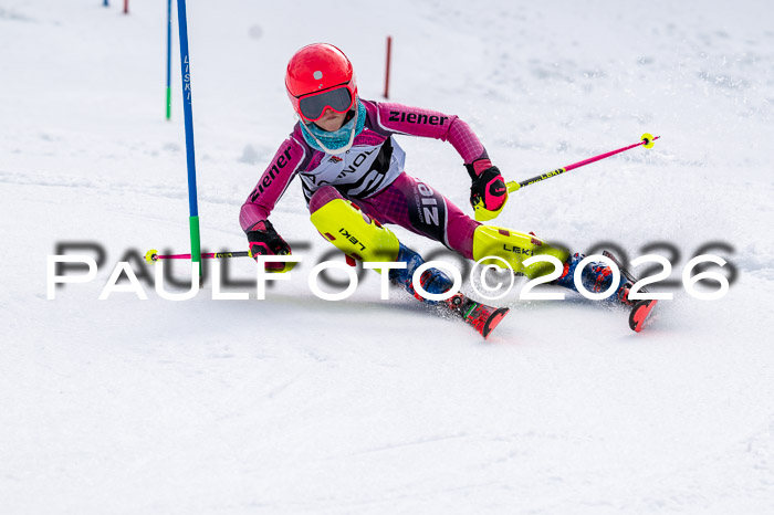 DSV - Actanol Deutscher Schülercup U12 Finale SLX 2026